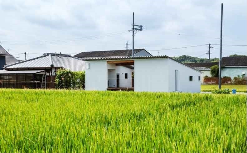 Hải Dương: Quy định xây dựng công trình trên đất trồng lúa