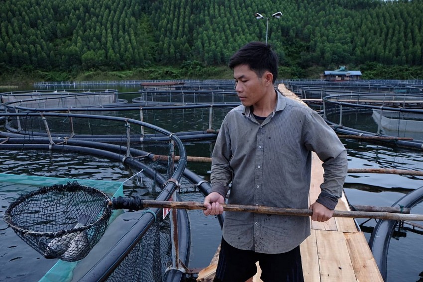 Yên Bái: Khai thác bền vững nguồn lợi thủy sản hồ Thác Bà