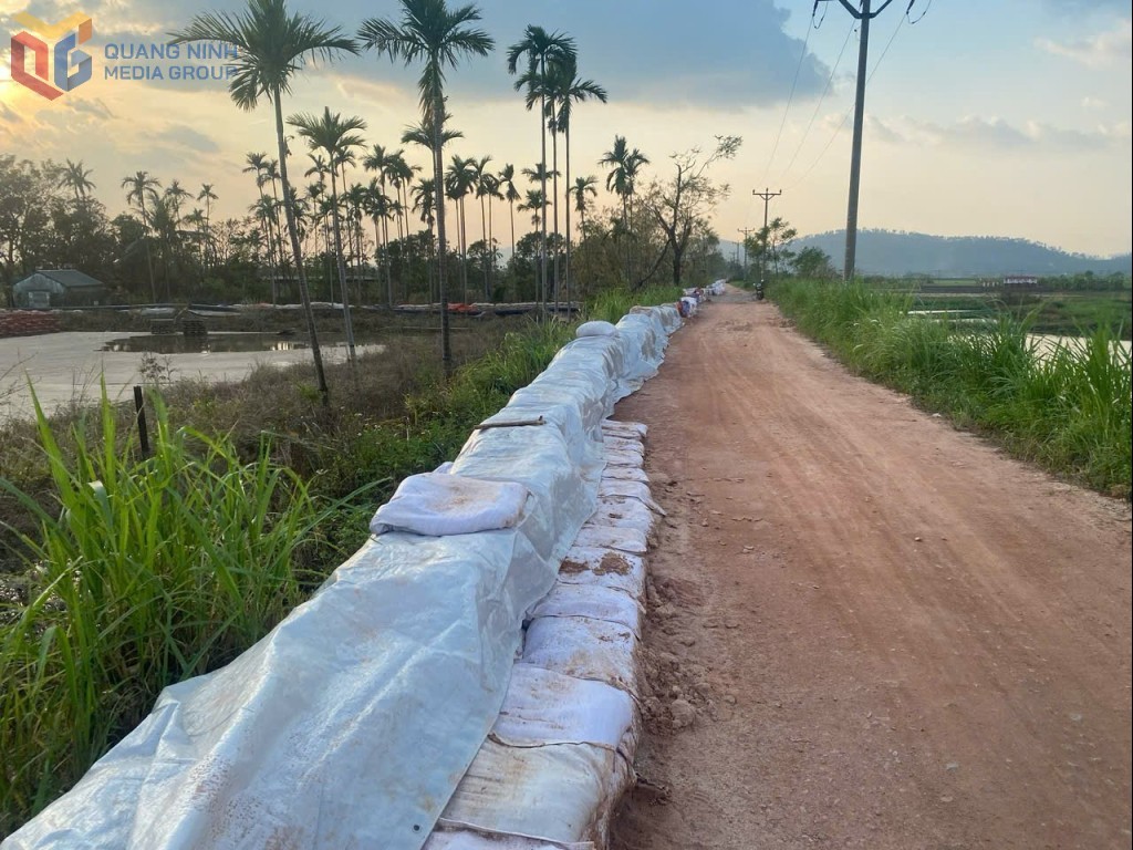 Quảng Ninh: Chủ động phòng chống và ứng phó thiên tai trong mùa mưa bão