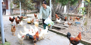 Vĩnh Phúc: Đảm bảo chỉ tiêu giải quyết mức độ thiếu hụt các chiều dịch vụ xã hội cơ bản cho người nghèo