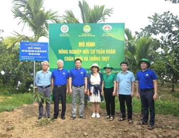 Người tiên phong xây dựng mô hình nông nghiệp hữu cơ tuần hoàn ở Vĩnh Phúc