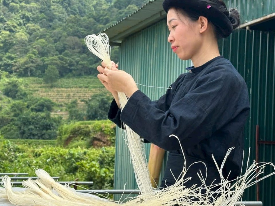 Động lực thúc đẩy kinh tế nông thôn phát triển