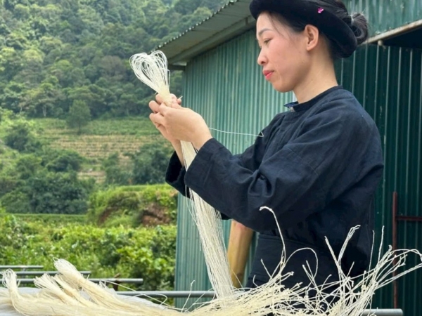 Động lực thúc đẩy kinh tế nông thôn phát triển