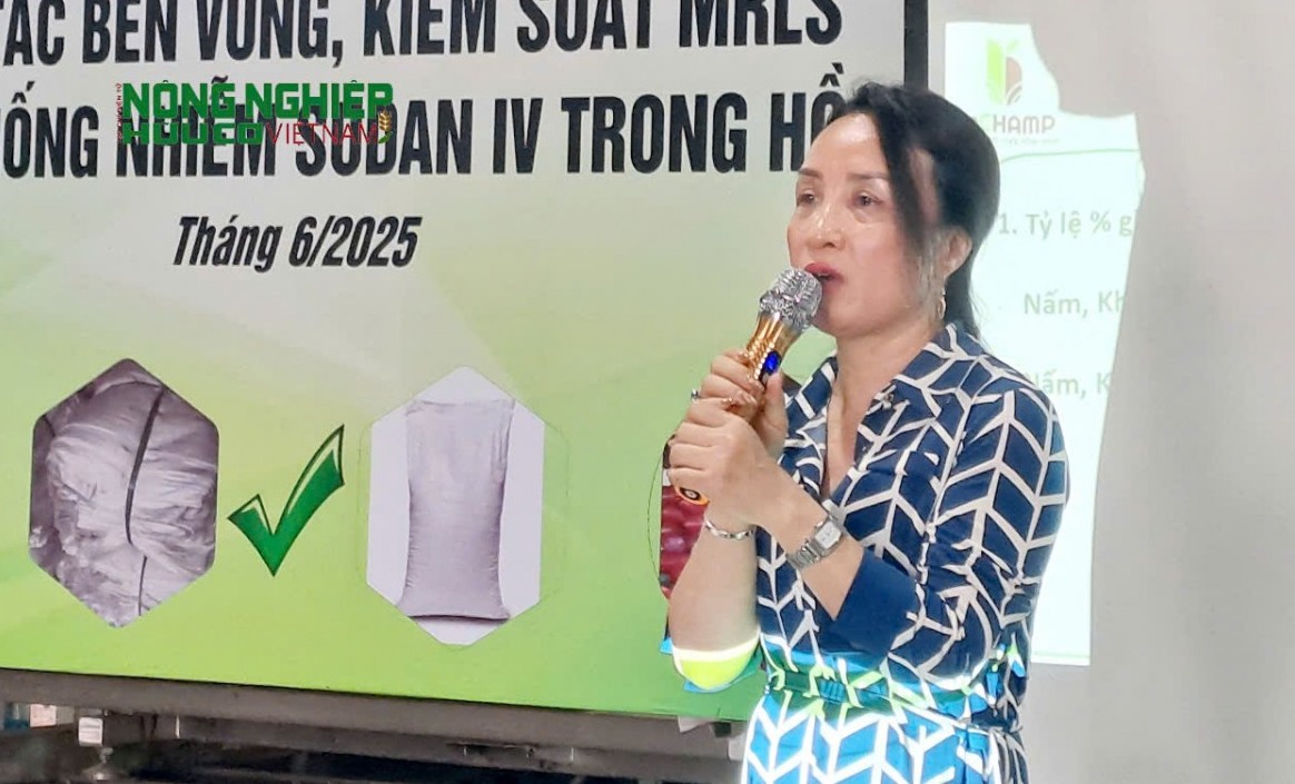 Đắk Nông: Cảnh báo khẩn cấp tình trạng nhiễm Sudan đỏ trong hồ tiêu và nông sản