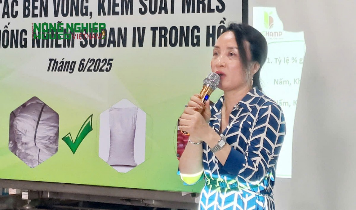 Đắk Nông: Cảnh báo khẩn cấp tình trạng nhiễm Sudan đỏ trong hồ tiêu và nông sản