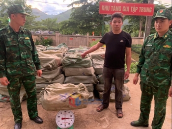 Quảng Ninh: Gần 3 tấn nầm lợn đông lạnh không rõ nguồn gốc bị bắt giữ