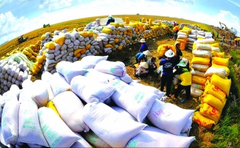 Nông nghiệp hữu cơ Việt Nam trên hành trình hội nhập quốc tế