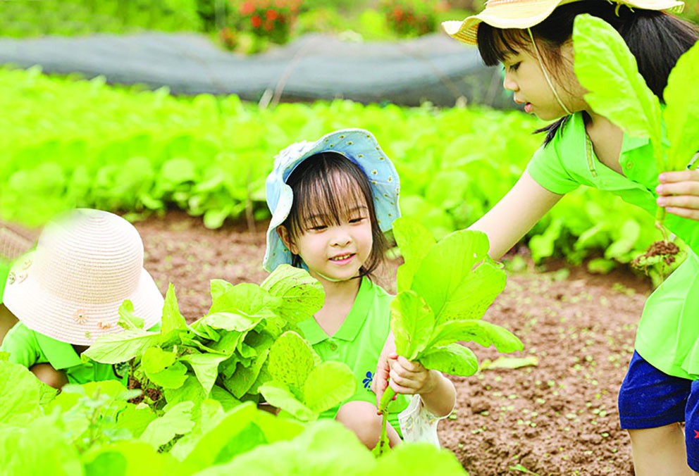 Phát triển kinh tế xanh là sứ mệnh vì tương lai bền vững