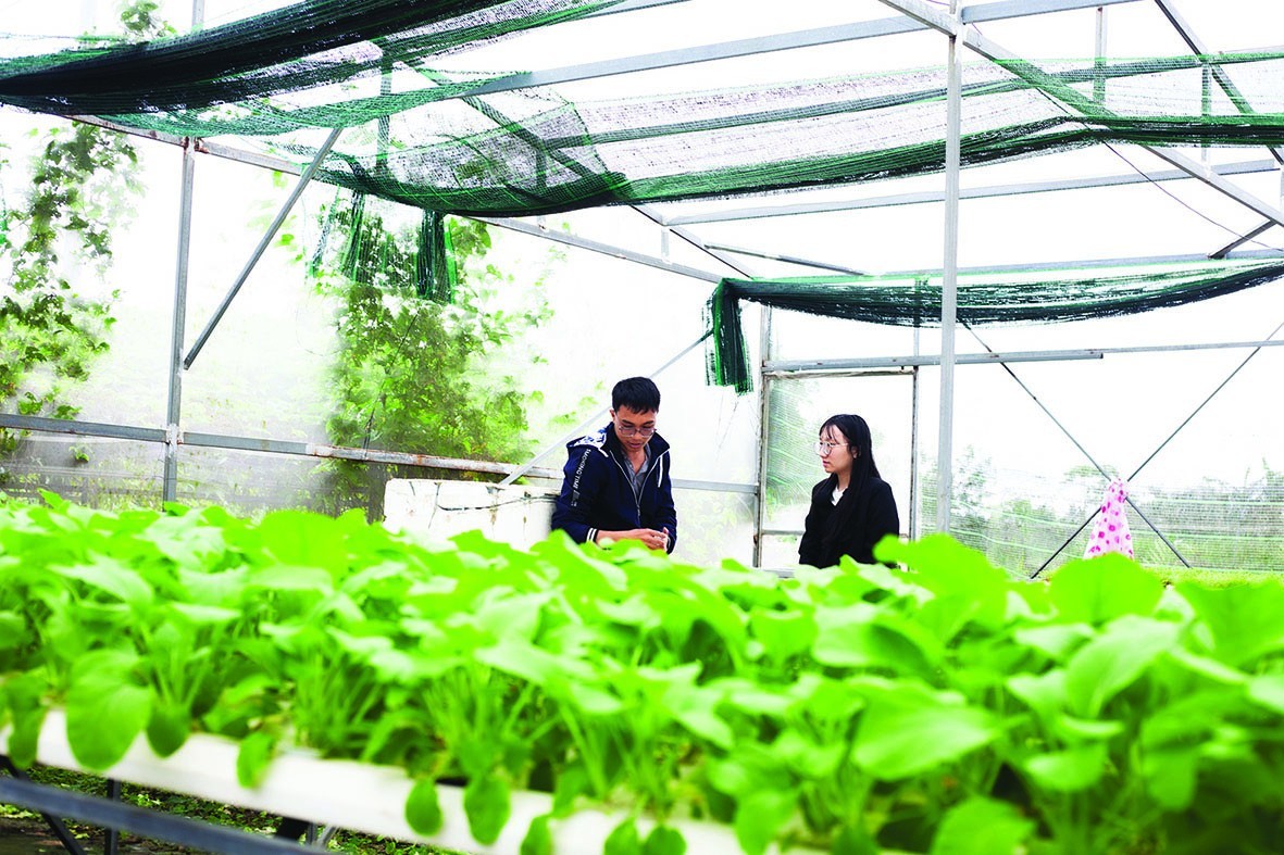 Truyền thông đóng vai trò then chốt thúc đẩy phát triển nông nghiệp hữu cơ