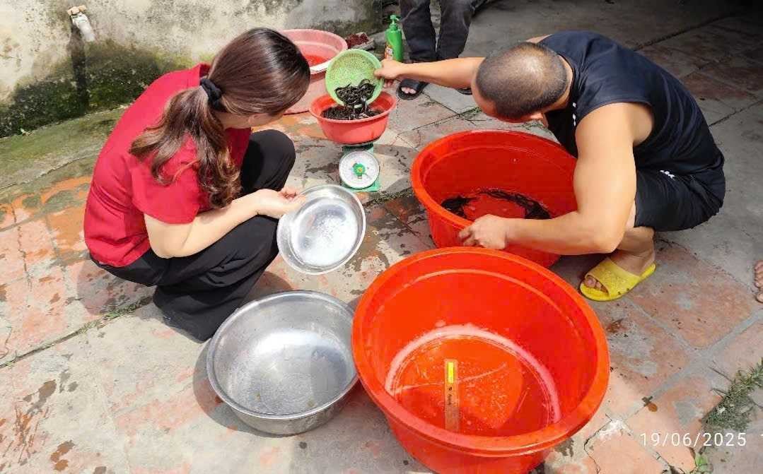 Kiểm tra kích cỡ và trọng lượng cá trước khi thả