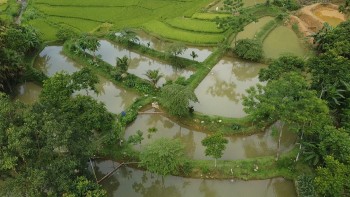 Mô hình nuôi cá Dầm Xanh đã giúp gia đình ông Hà Văn Khường trở thành hộ nông dân giàu có.