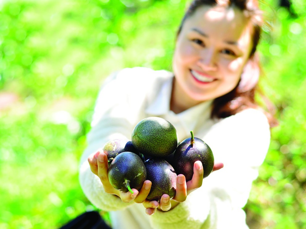 Đắk Nông: Đồng hành với nông dân phát triển sản xuất Nông nghiệp Hữu cơ