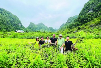 Nông nghiệp ứng dụng công nghệ cao: Giải pháp đột phá nâng cao hiệu quả sản xuất