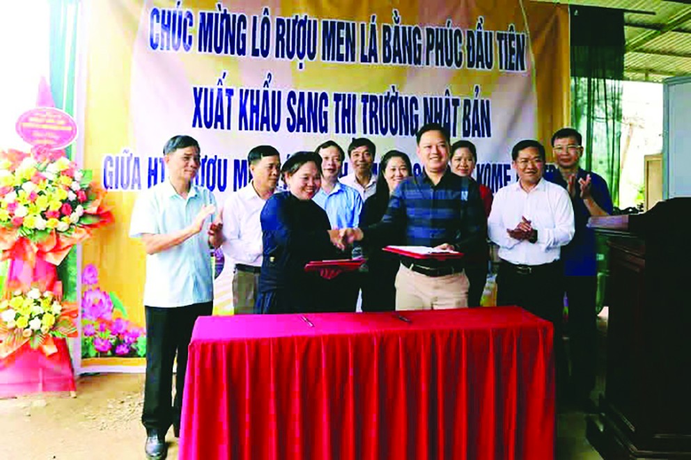 Ước mơ đưa thương hiệu rượu men lá vươn xa