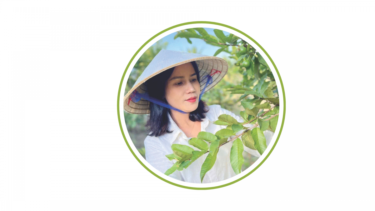 Người nâng giá trị sản phẩm hữu cơ cho cây ổi quê hương