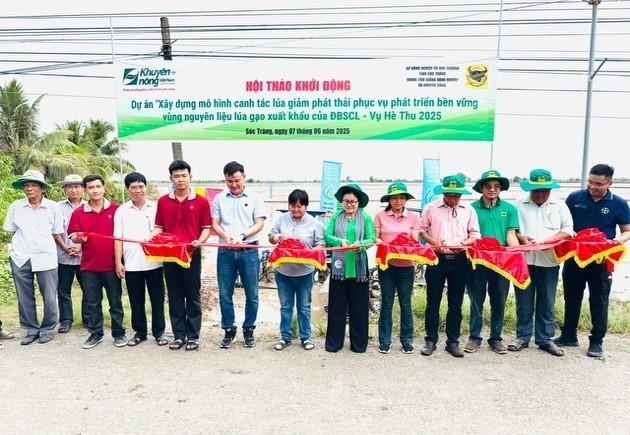 Phân bón Bình Điền đẩy mạnh Dự án canh tác lúa giảm phát thải ở ĐBSCL