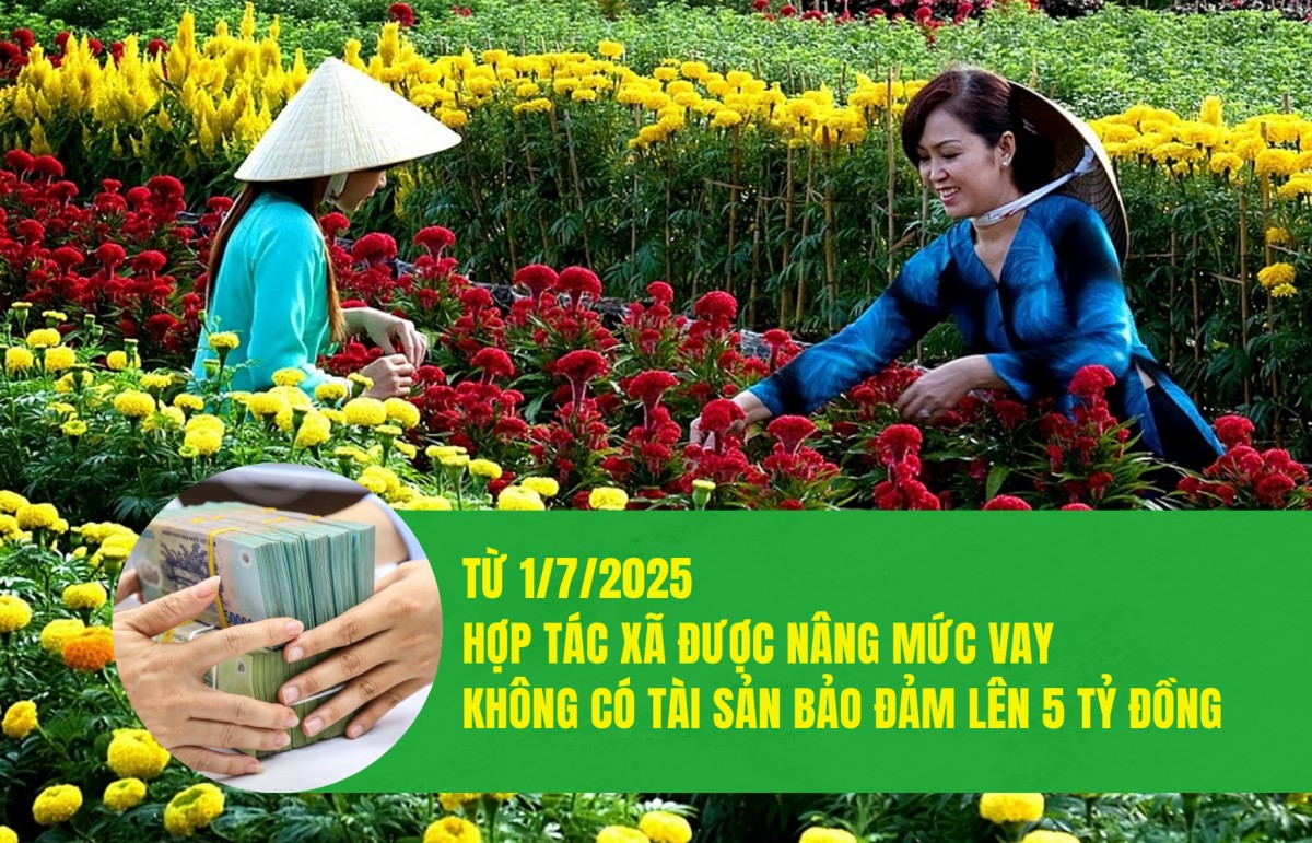 Từ 01/7/2025, hợp tác xã được nâng mức vay không có tài sản bảo đảm lên 5 tỷ đồng