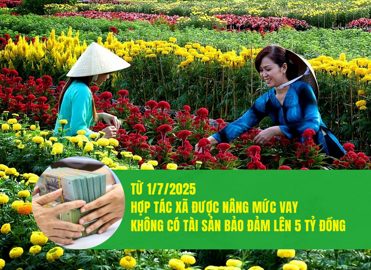 Chính phủ nâng trần vay vốn không bảo đảm tài sản phục vụ phát triển nông nghiệp, nông thôn