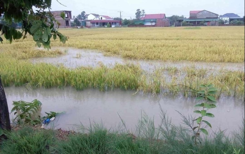 Bắc Ninh: Chủ động ứng phó với mưa lũ đầu vụ
