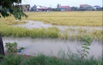 Bắc Ninh: Chủ động ứng phó với mưa lũ đầu vụ