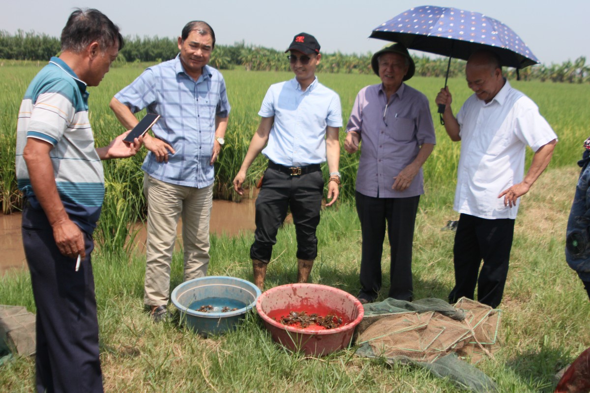 Bài 2: Nguyễn Tiến Ky - Người đàn ông 30 năm đau đáu ứng dụng công nghệ cao vào nông nghiệp