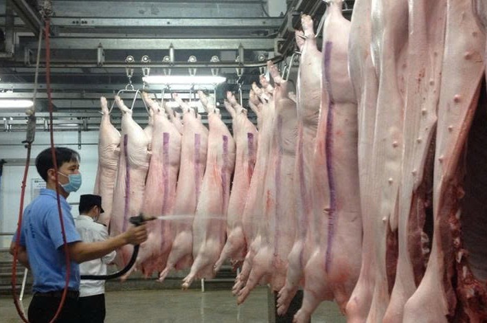 Đắk Lắk tăng cường quản lý hoạt động giết mổ động vật, đảm bảo an toàn dịch bệnh và ATTP