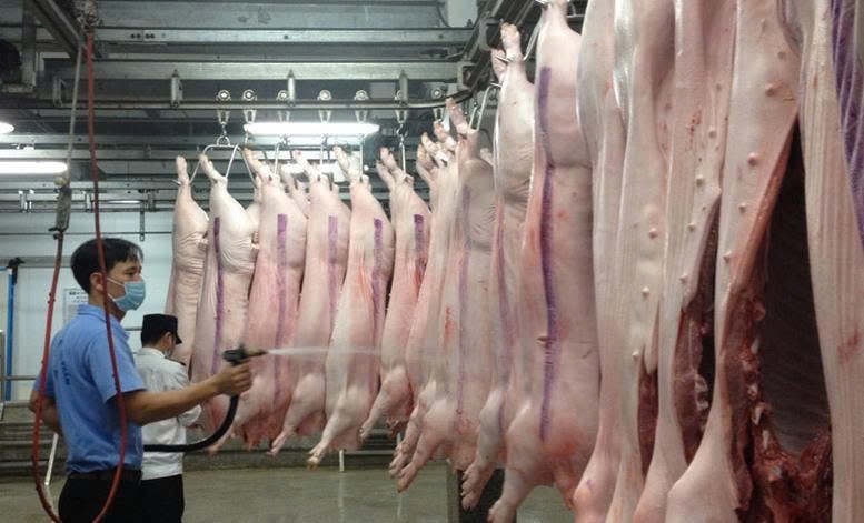 Đắk Lắk tăng cường quản lý hoạt động giết mổ động vật, đảm bảo an toàn dịch bệnh và ATTP