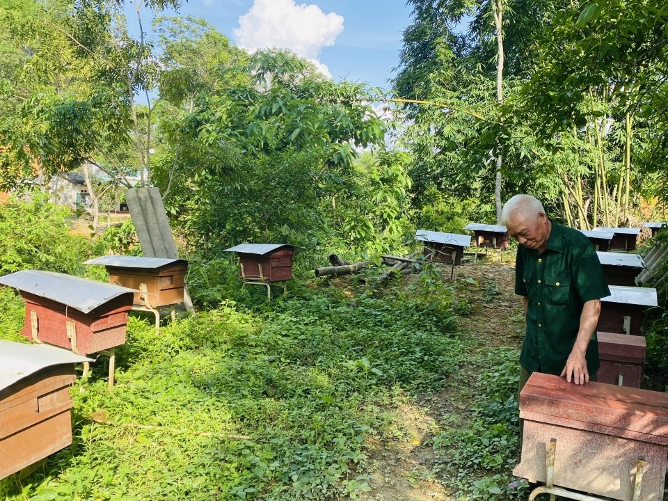 Mật ong Bình Dương - Ngọt ngào hương vị hoa rừng