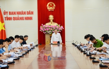 Quảng Ninh: Chủ tịch xã, phường, đặc khu phải tham gia vào Ban Chỉ đạo 389 tỉnh