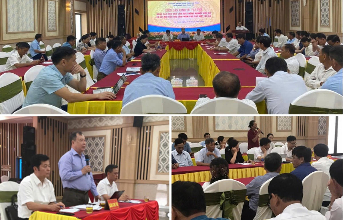 Tiềm năng phát triển nông nghiệp hữu cơ Hà Tĩnh