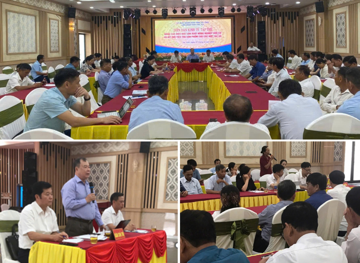 Tiềm năng phát triển nông nghiệp hữu cơ Hà Tĩnh
