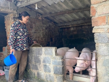 Hơn 1.700 lượt hộ nghèo và các đối tượng chính sách ở TP. Đồng Hới được vay vốn phát triển kinh tế