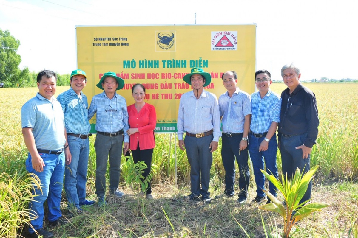 Phân bón Bình Điền: Ứng dụng Công nghệ sinh học cho đổi mới công nghệ, sản phẩm thân thiện môi trường