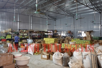 Khởi tố chủ xưởng sản xuất "chè Thái Nguyên" giả thu lợi gần 46 tỉ đồng