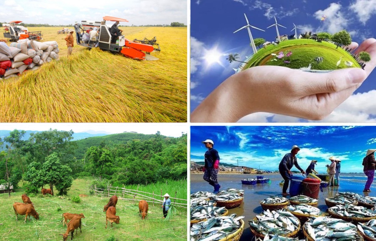 Các chức năng cơ quan chuyên môn về Nông nghiệp và Môi trường thuộc UBND tỉnh