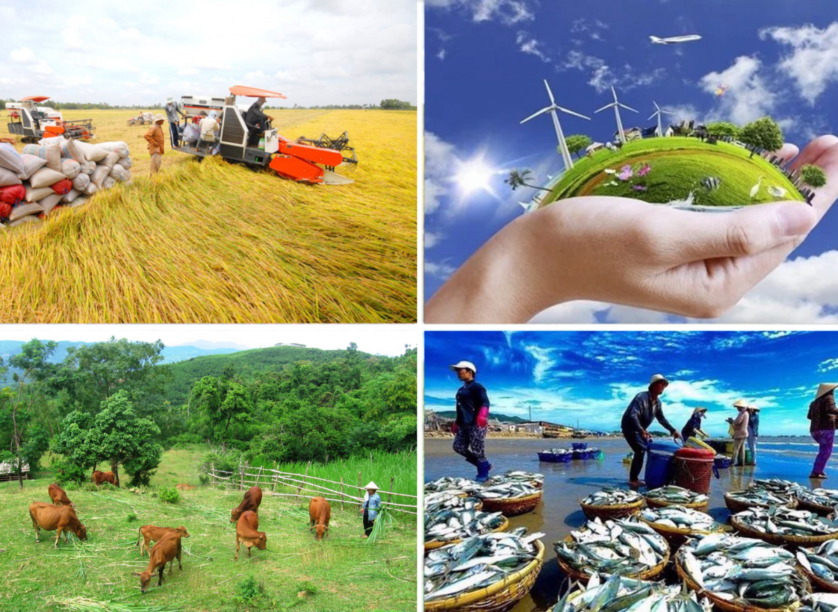 Các chức năng cơ quan chuyên môn về Nông nghiệp và Môi trường thuộc UBND tỉnh