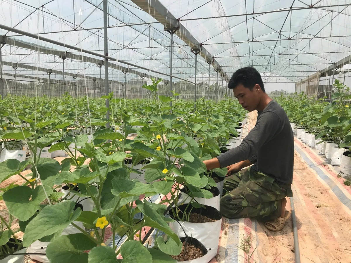 Ứng dụng công nghệ sinh học hiện đại trong sản xuất sản phẩm nông nghiệp