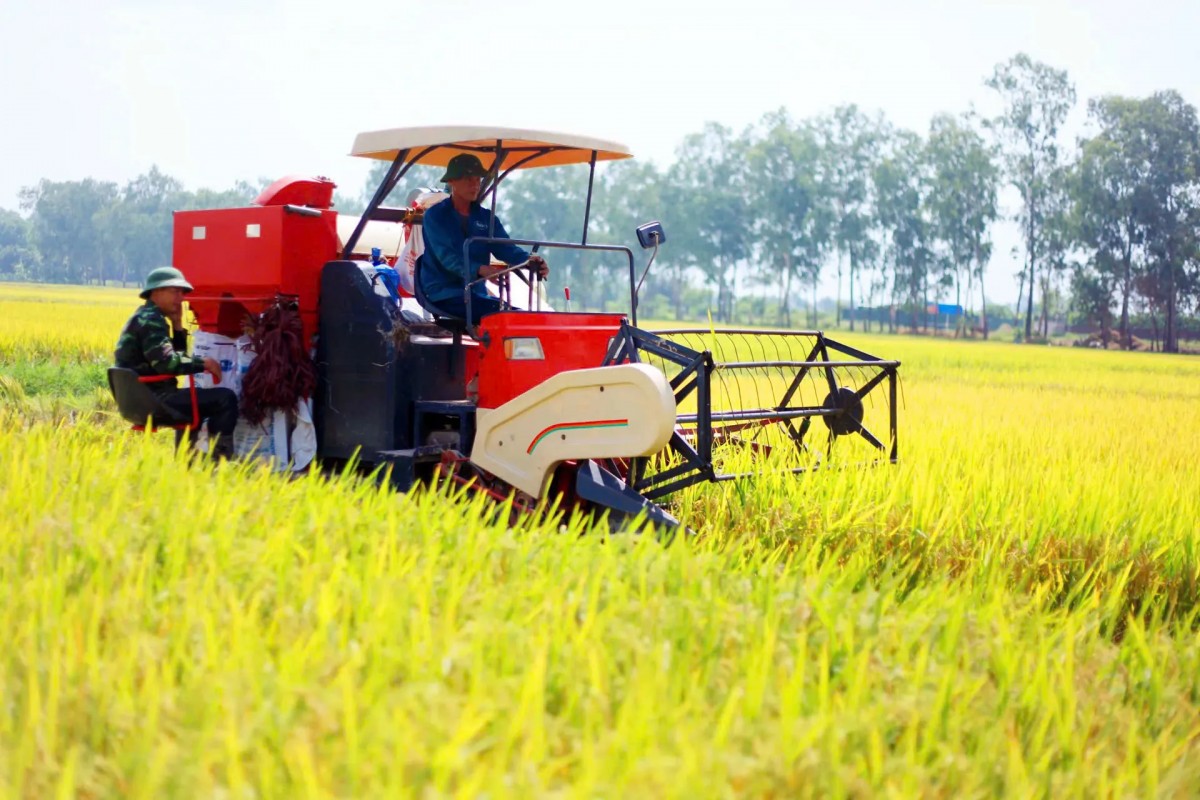 Ứng dụng công nghệ sinh học hiện đại trong sản xuất sản phẩm nông nghiệp