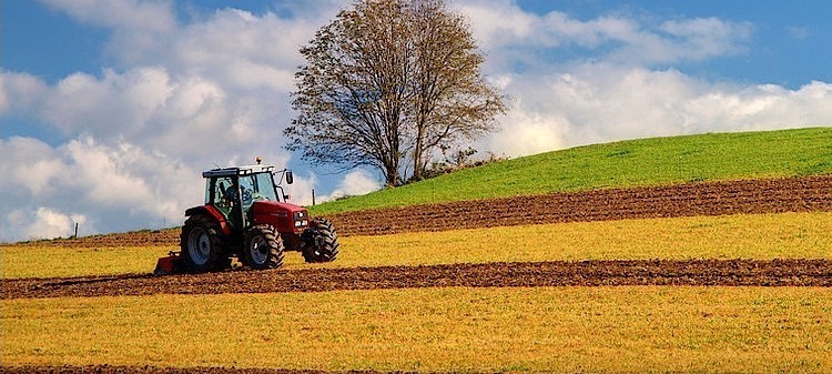 Thiên đường Hữu cơ Eifel: Nơi đất mẹ được trân trọng
