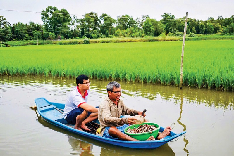 Chàng trai thu nhập hơn 1 tỉ mỗi năm với nghề trồng lúa hữu cơ