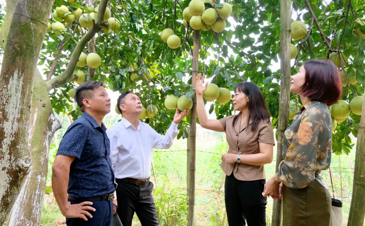 Thành lập Trung tâm Dịch vụ nông nghiệp tại Hà Nội
