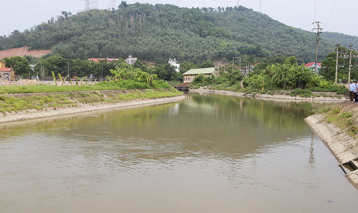 Ảnh minh họa.