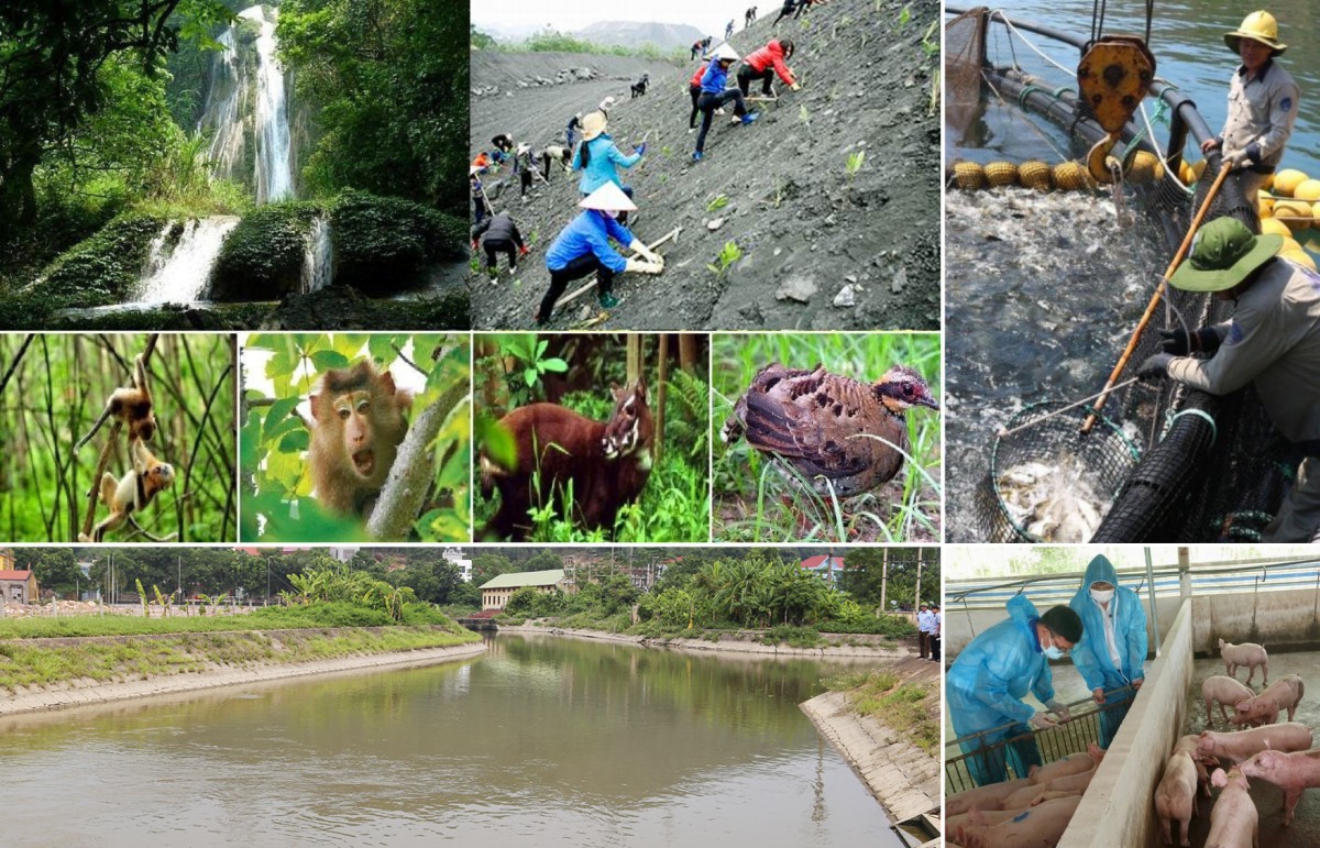 Chức năng cơ quan chuyên môn về Nông nghiệp và Môi trường thuộc UBND cấp xã