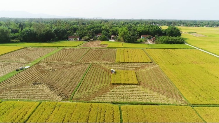 Kéo dài thời hạn miễn thuế sử dụng đất nông nghiệp đến hết năm 2030