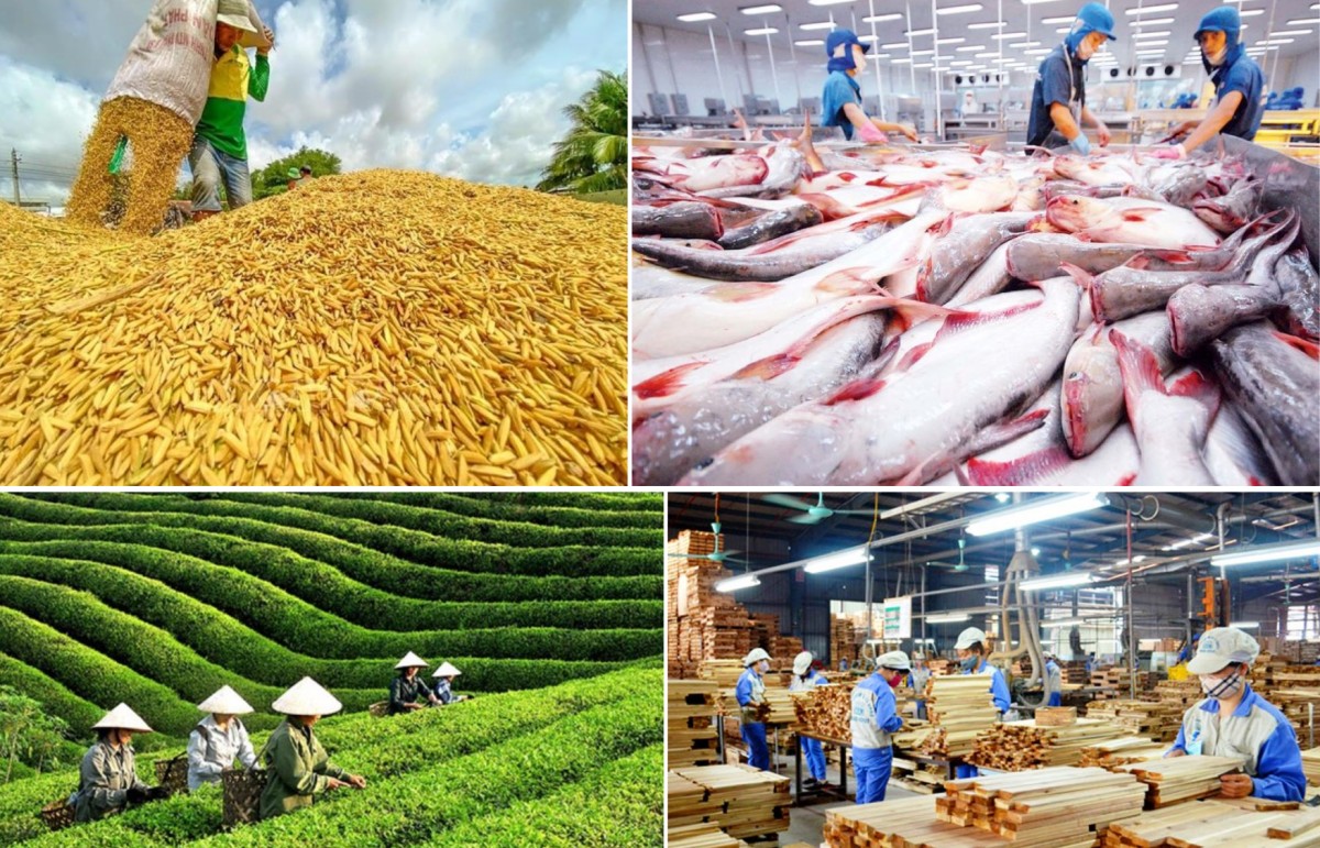 Sản xuất nông lâm thủy sản 6 tháng đầu năm 2025 tăng trưởng tích cực
