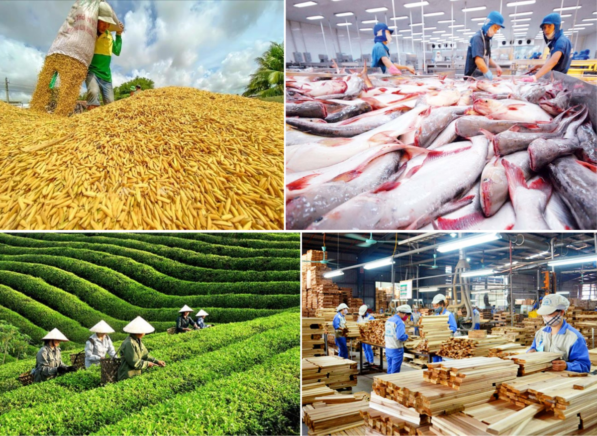 Sản xuất nông lâm thủy sản 6 tháng đầu năm 2025 tăng trưởng tích cực
