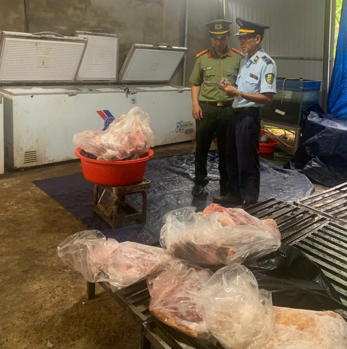 Đắk Lắk: Đẩy mạnh kiểm tra, giám sát, xử lý vi phạm trong lĩnh vực nông, lâm, thủy sản