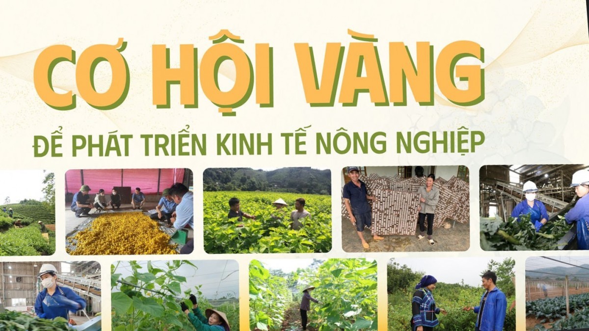 Tỉnh Lào Cai sau hợp nhất: Cơ hội vàng để phát triển kinh tế nông nghiệp