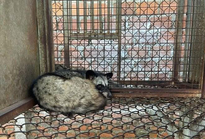 Lâm Đồng: Thu hồi 1 Giấy chứng nhận mã số cơ sở nuôi động vật hoang dã