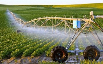 Việt Nam - Brazil thúc đẩy hợp tác phát triển nông nghiệp, công nghệ